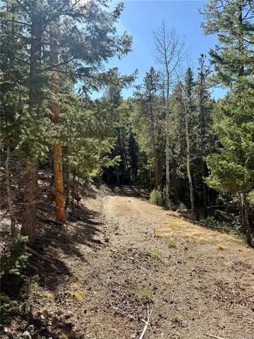 a view of a road with plants and trees