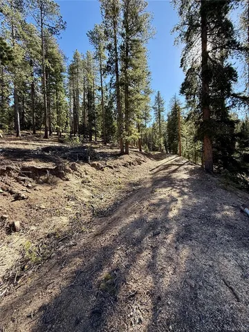 a view of a city with large trees