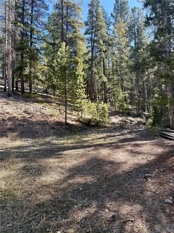 a view of outdoor space with lots of trees
