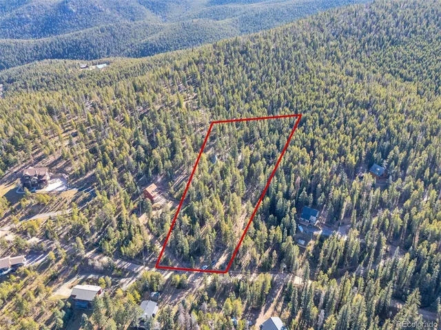 a close up of a plant