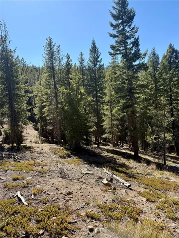 a view of swimming pool with a yard