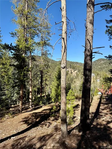 a view of road with trees