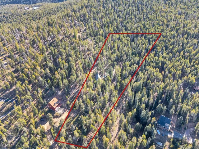 a close up of a tree