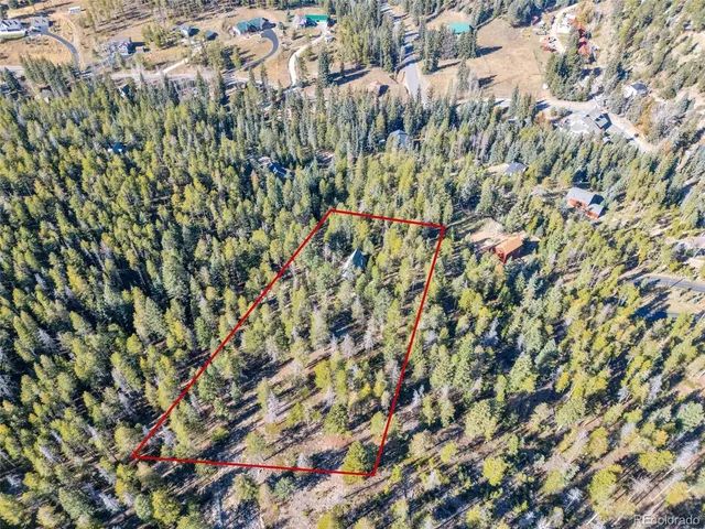 a view of a area of the tree