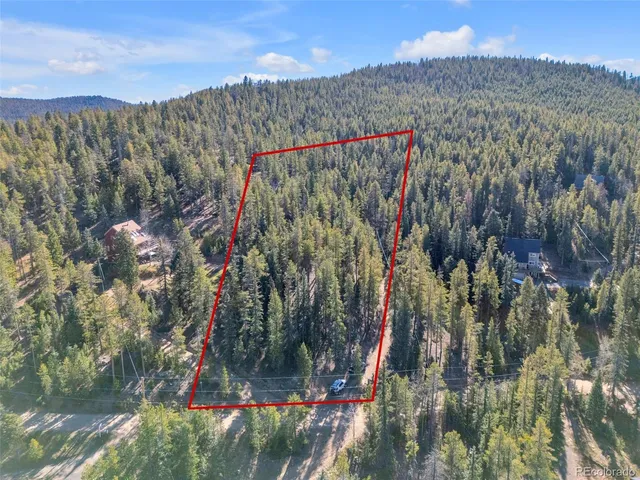 a city view with tall tree