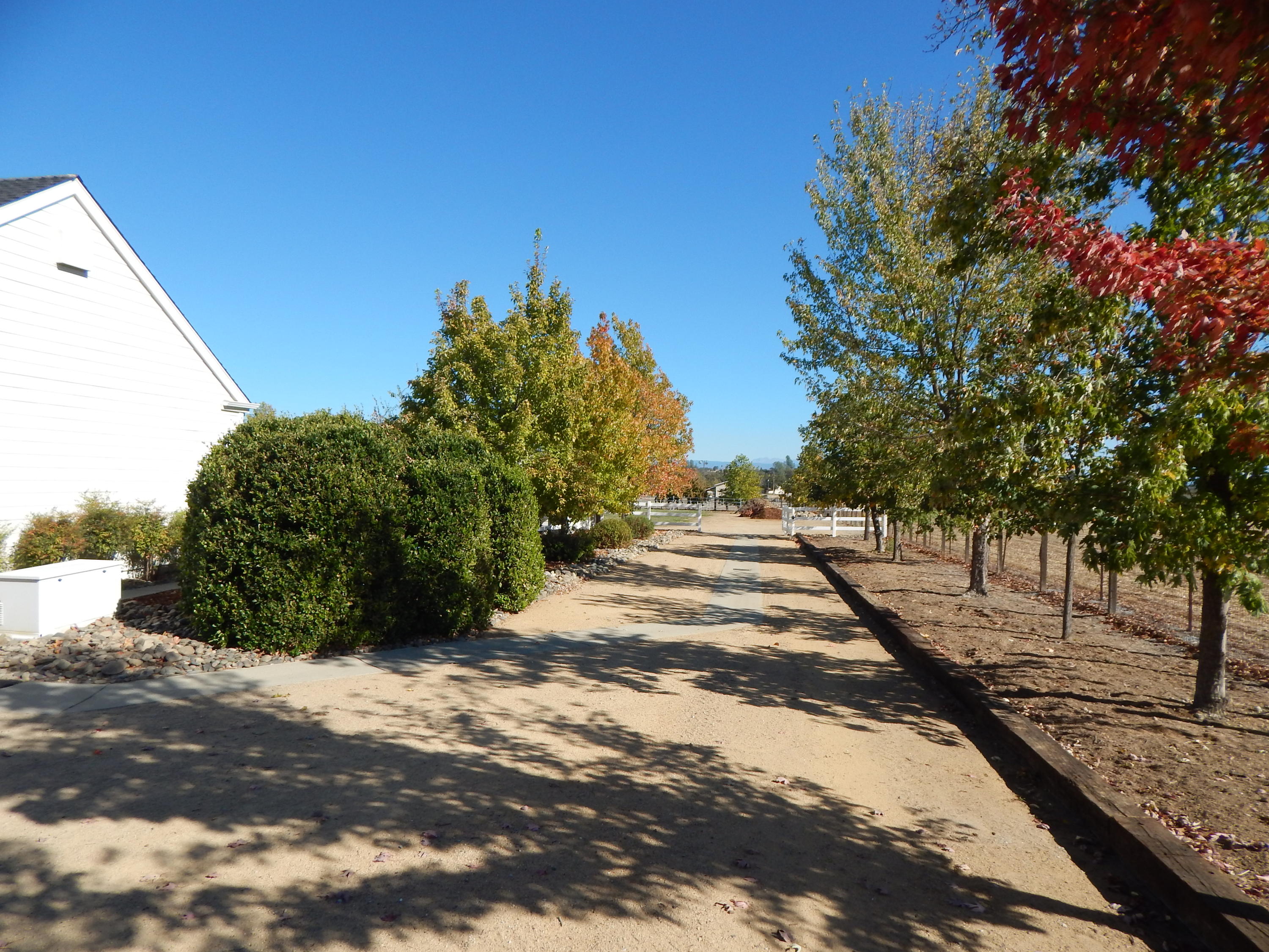 8375 Maynard Road Palo Cedro, CA 96073 - Photo 24 of 111 DSCN3205