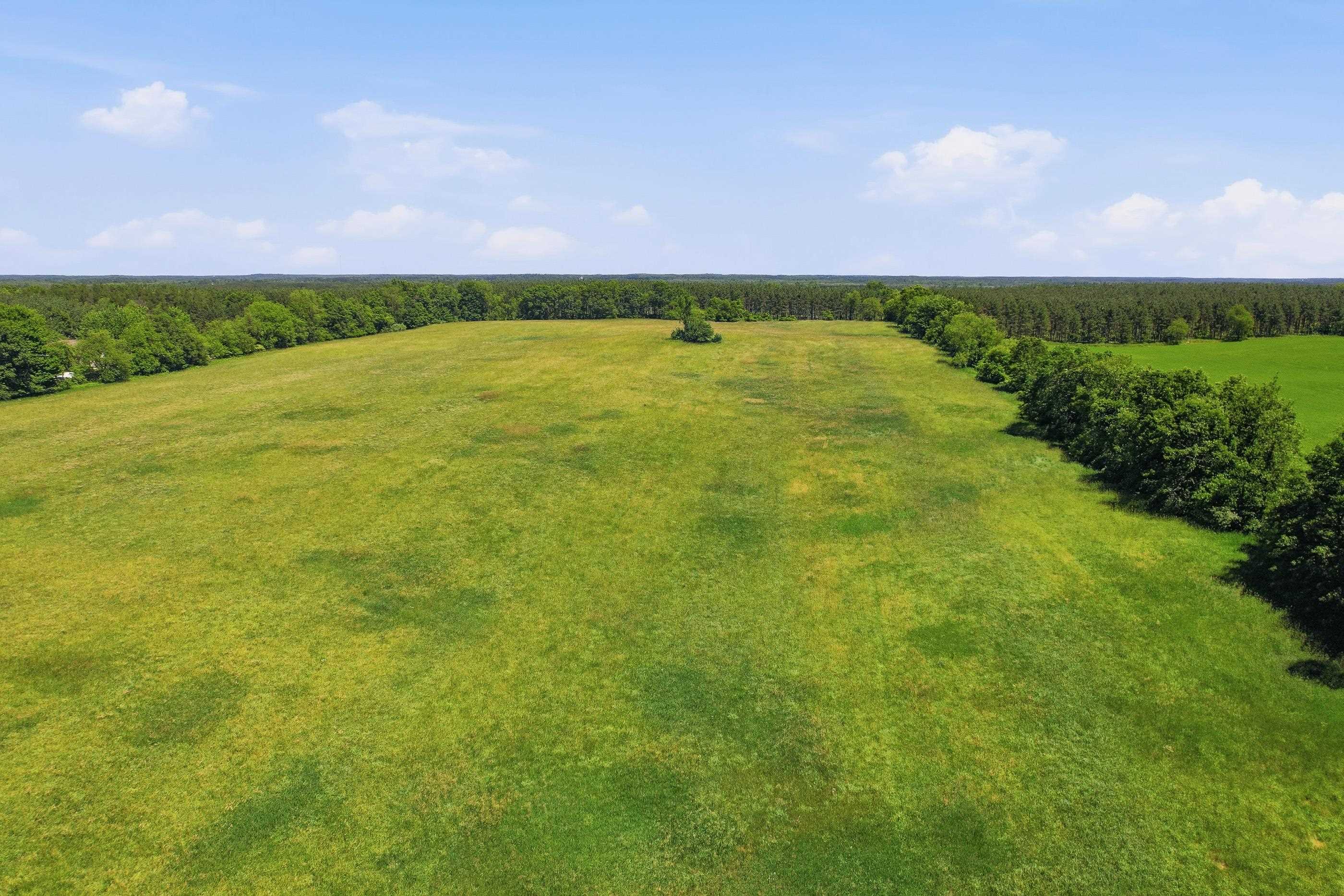 0 Deer Road Rosholt, WI 54473 - Photo 6 of 17