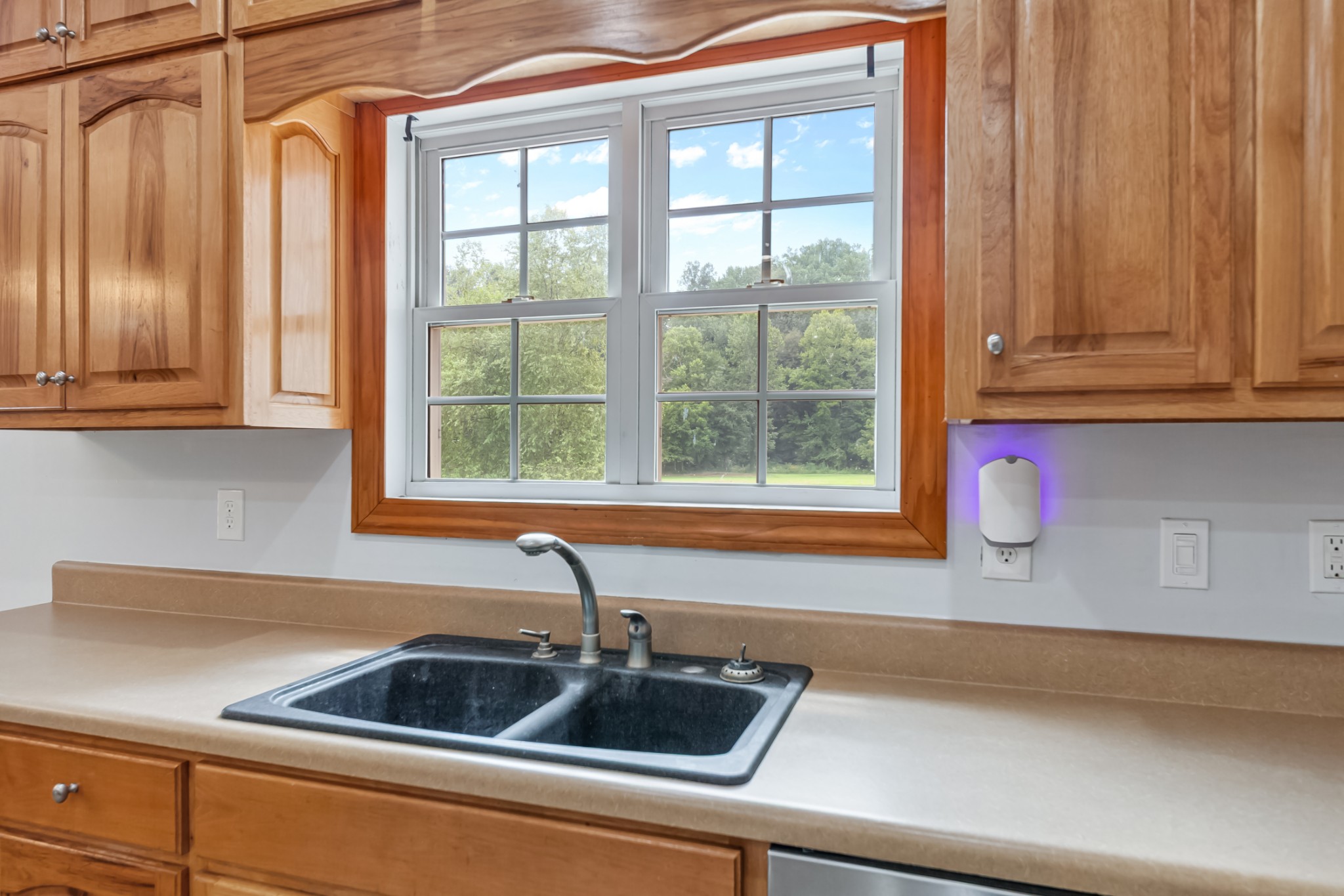 7599 Beech Hill Road Pulaski, TN 38478 - Photo 26 of 89