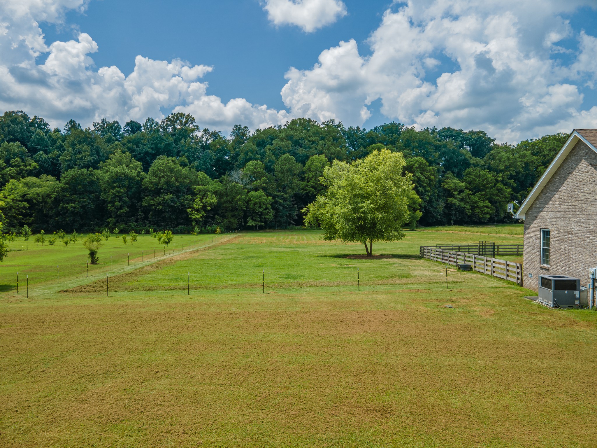 7599 Beech Hill Road Pulaski, TN 38478 - Photo 66 of 89