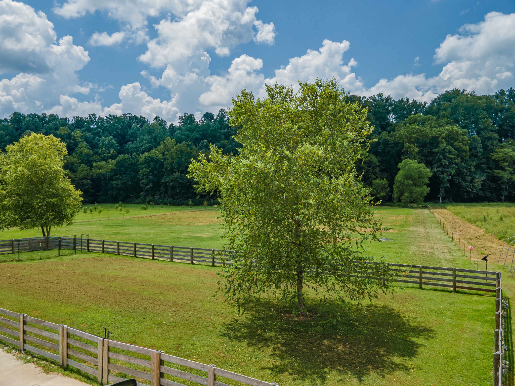 7599 Beech Hill Road Pulaski, TN 38478 - Photo 67 of 89