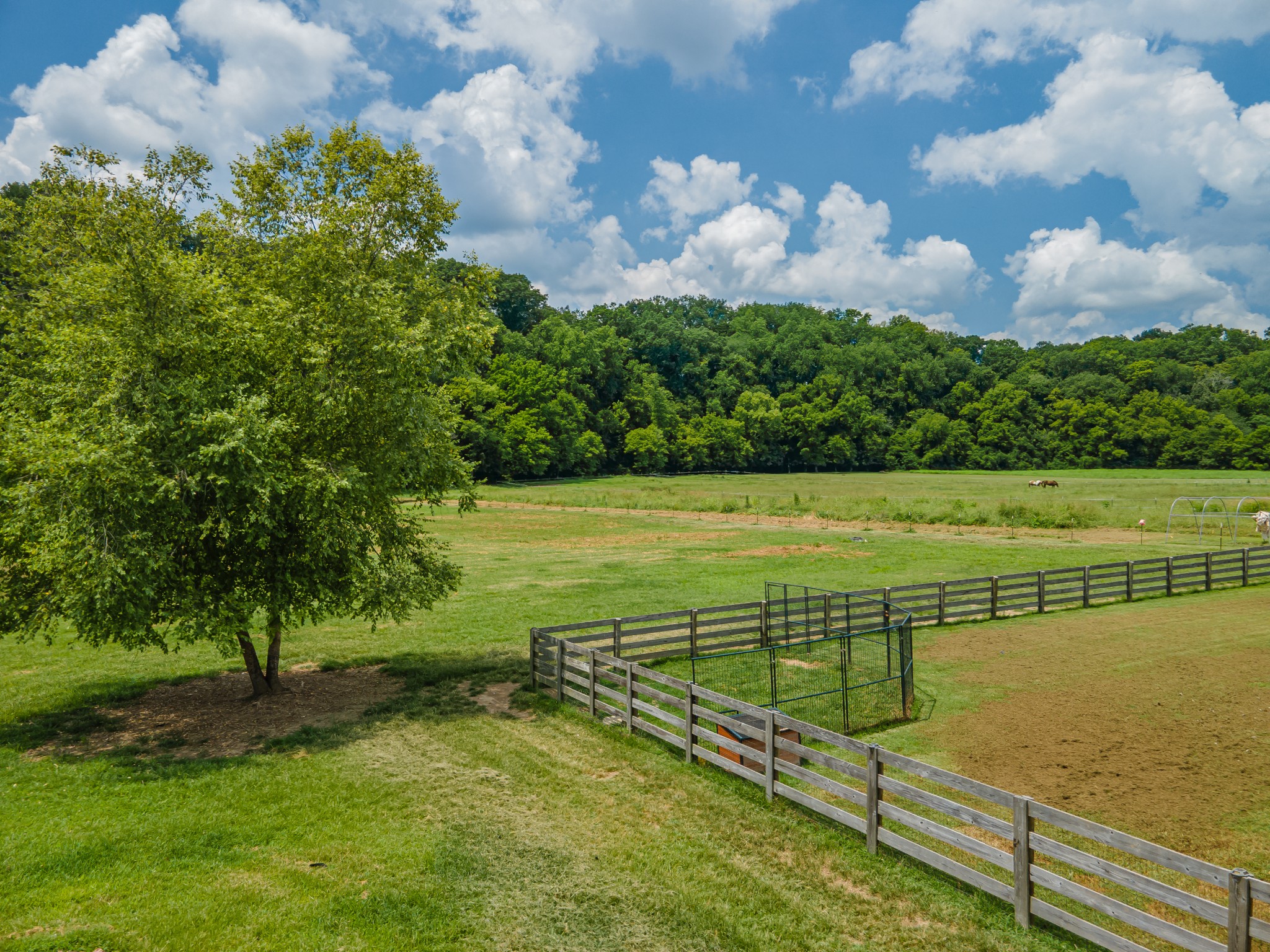 7599 Beech Hill Road Pulaski, TN 38478 - Photo 69 of 89
