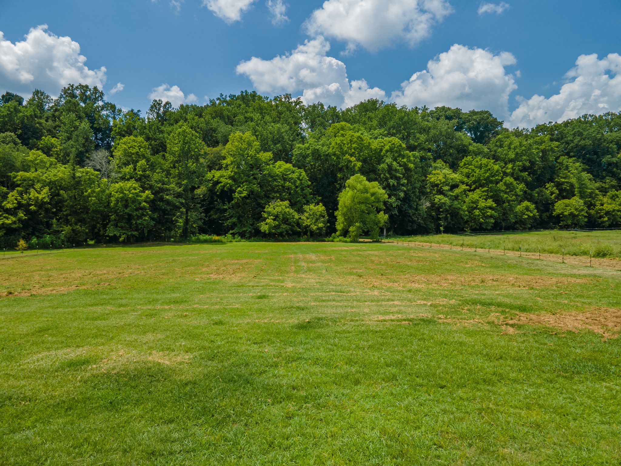 7599 Beech Hill Road Pulaski, TN 38478 - Photo 72 of 89