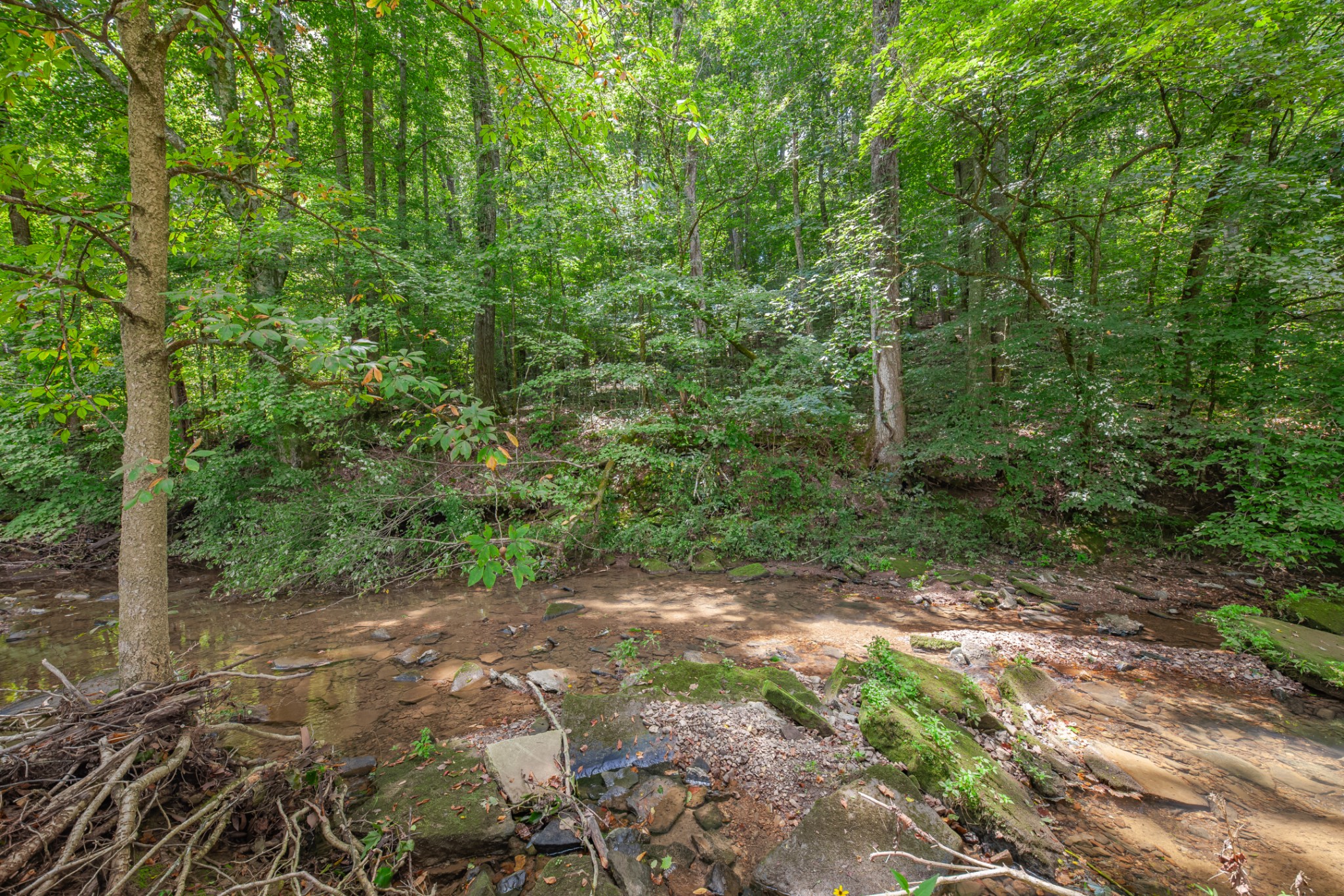 7599 Beech Hill Road Pulaski, TN 38478 - Photo 73 of 89