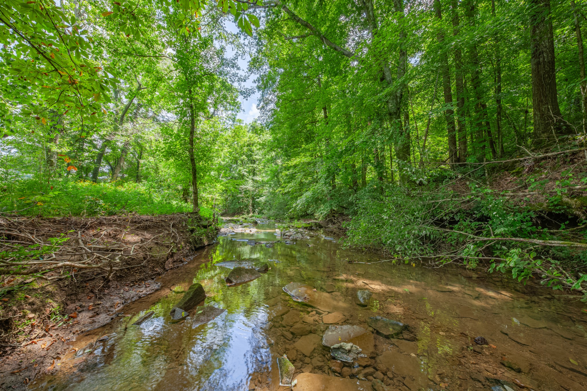 7599 Beech Hill Road Pulaski, TN 38478 - Photo 74 of 89