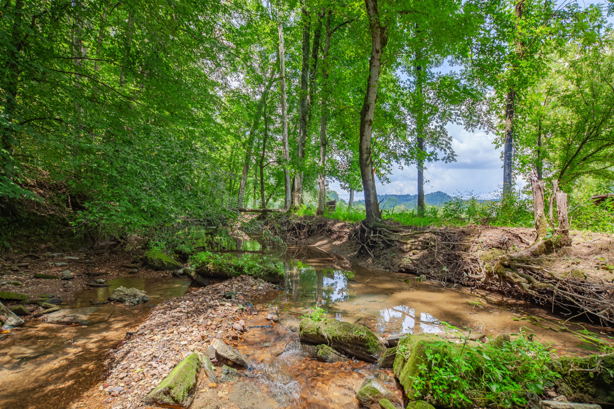 7599 Beech Hill Road Pulaski, TN 38478 - Photo 75 of 89