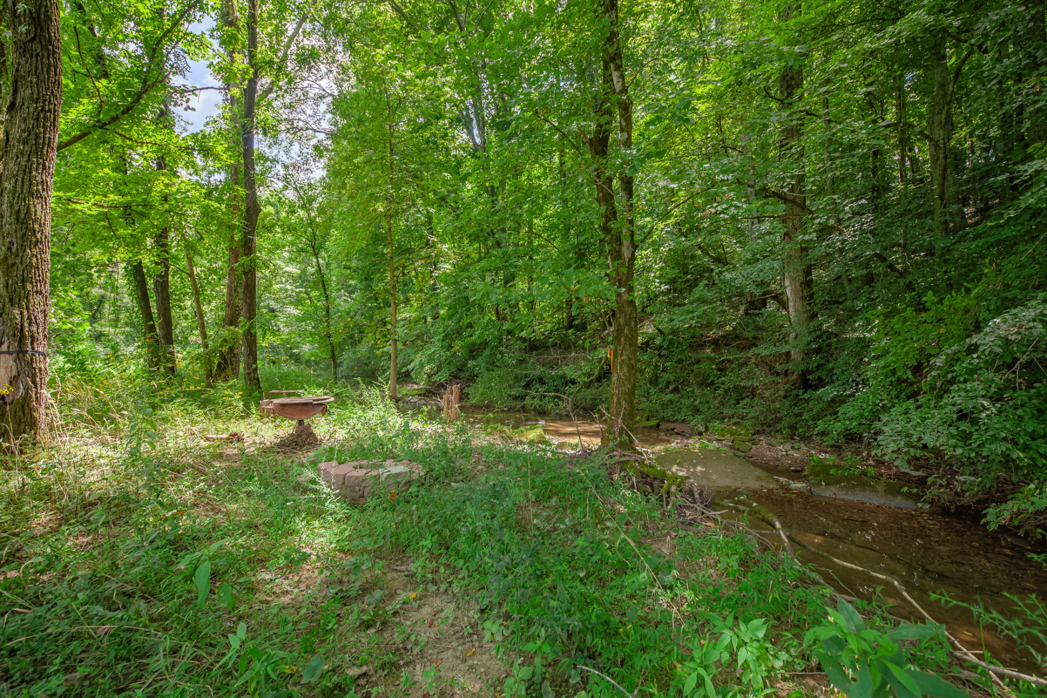 7599 Beech Hill Road Pulaski, TN 38478 - Photo 77 of 89