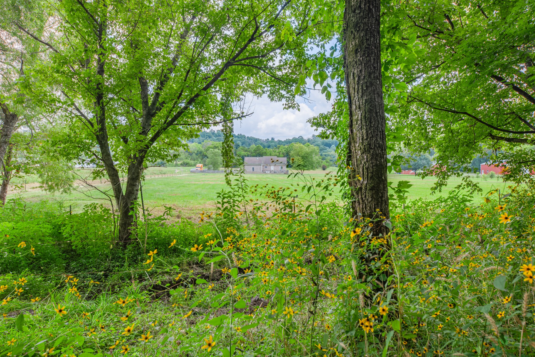 7599 Beech Hill Road Pulaski, TN 38478 - Photo 78 of 89
