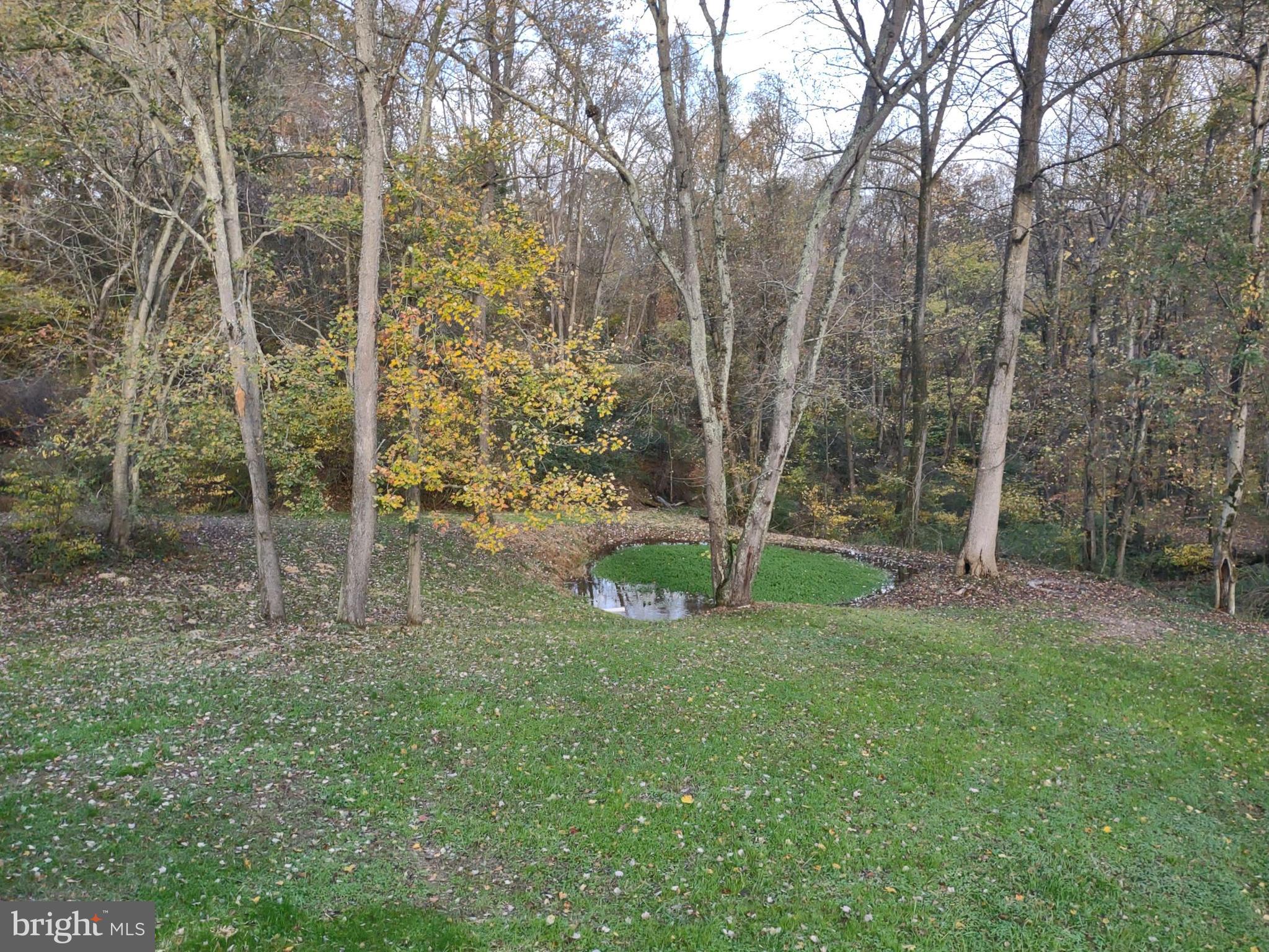 63 Myers Road Delta, PA 17314 - Photo 7 of 24 Rear Yard