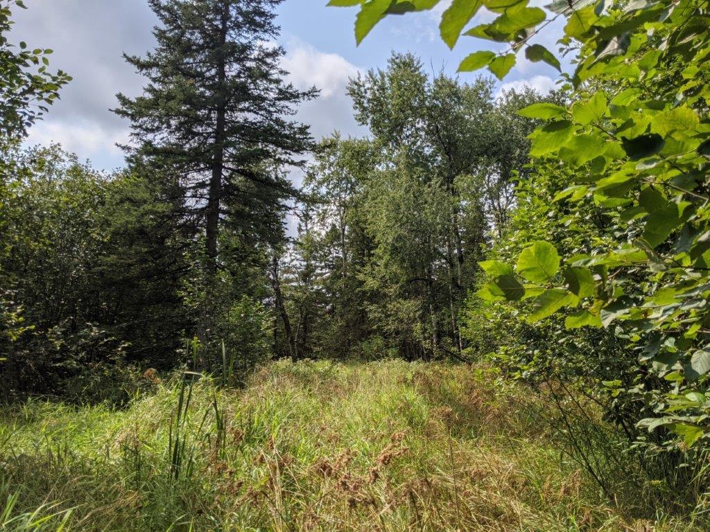 W10589 White Birch Road Kennan, WI 54537 - Photo 9 of 25 Gallery Image 9