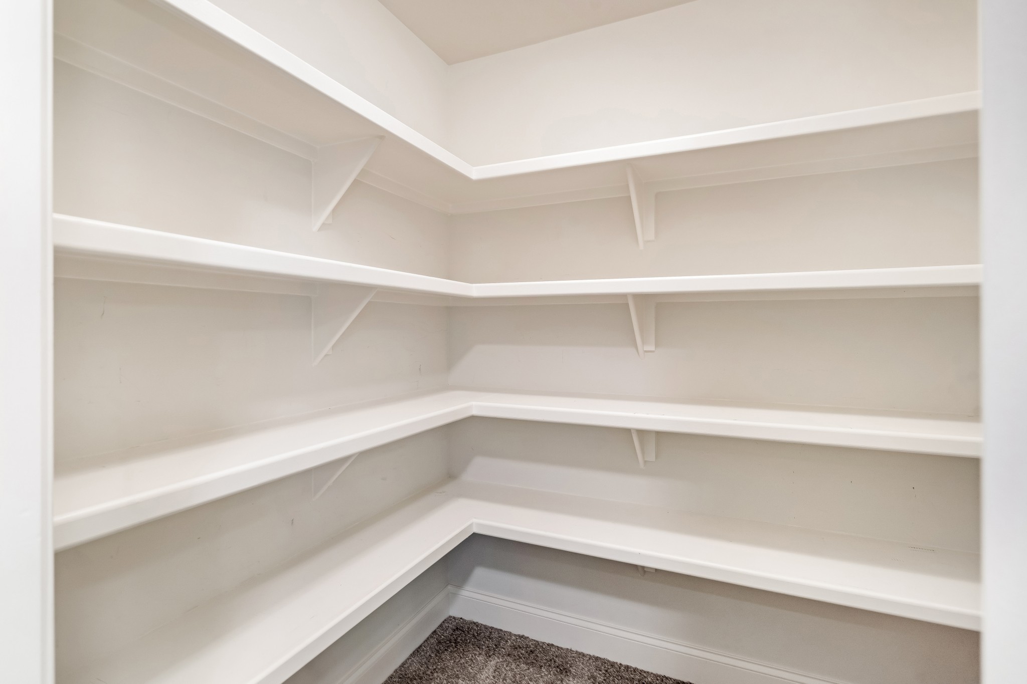 3008 Sakari Circle Spring Hill, TN 37174 - Photo 28 of 44 a storage room with empty racks