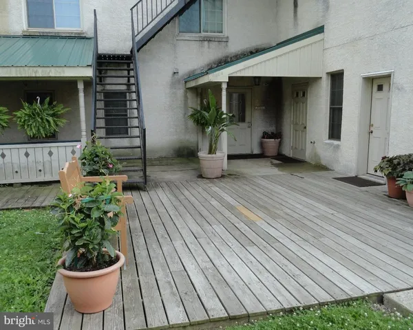 a room with wooden floor and potted plants