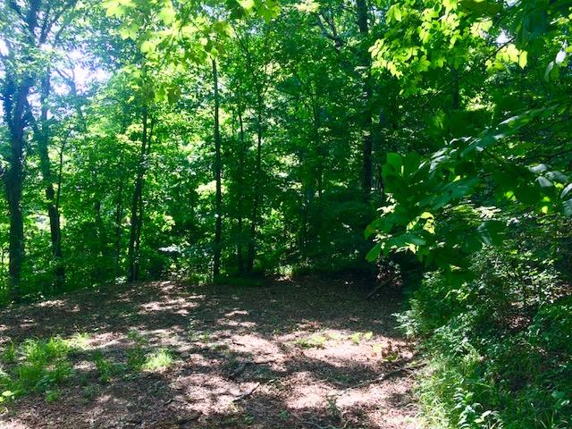 0 Rocky Ridge Road Doyle, TN 38559 - Photo 8 of 10 Gallery Image 8