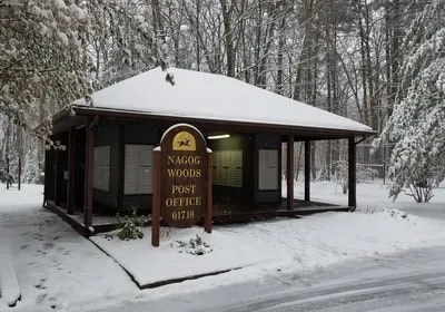 a big yard with lots of green space and trees