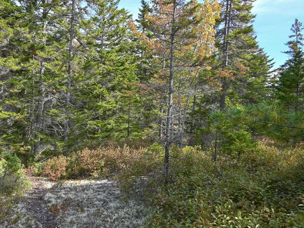 $190,000 | 0 Seawall Map/lot 17/11-04 Southwest Harbor, Southwest Harbor, ME 04679