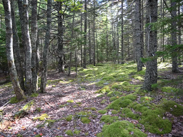 $190,000 | 0 Seawall Map/lot 17/11-04 Southwest Harbor, Southwest Harbor, ME 04679
