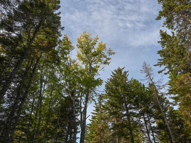 $190,000 | 0 Seawall Map/lot 17/11-04 Southwest Harbor, Southwest Harbor, ME 04679