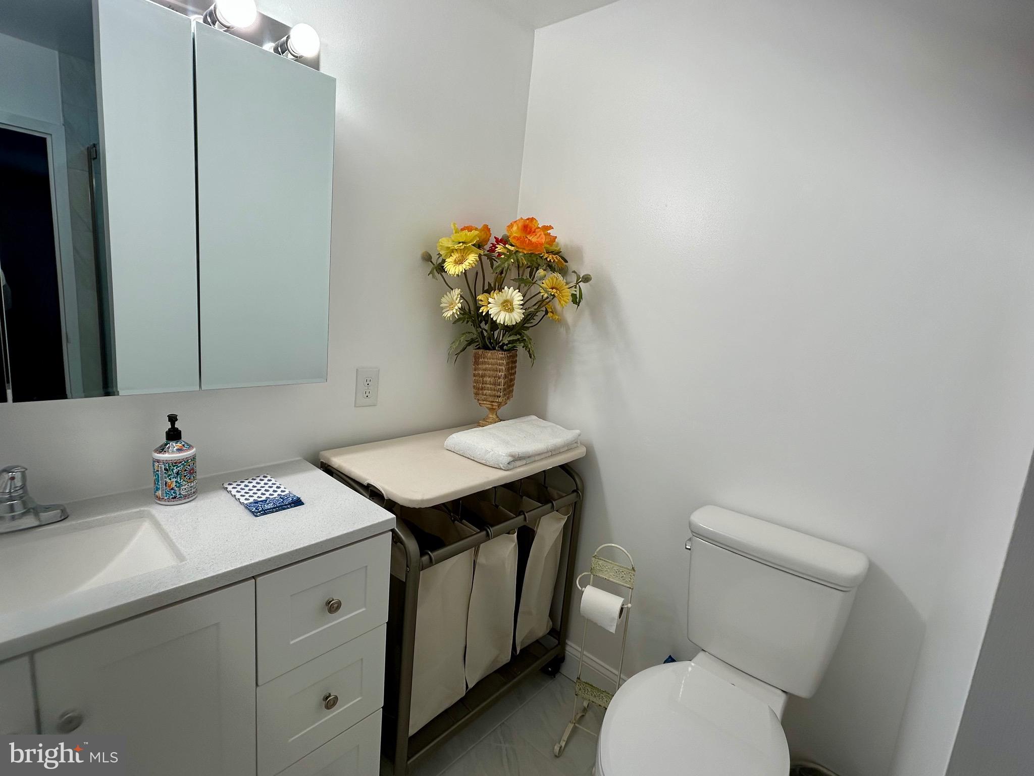 18624 Walkers Choice Road, Unit 6 Montgomery Village, MD 20886 - Photo 19 of 25 Ensuite bathroom
