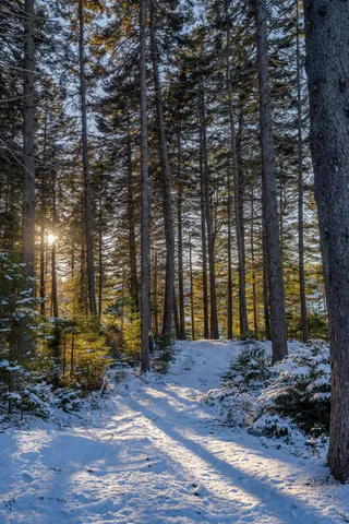 $2,650,000 | 47 Snowman Lane, Georgetown, ME 04548