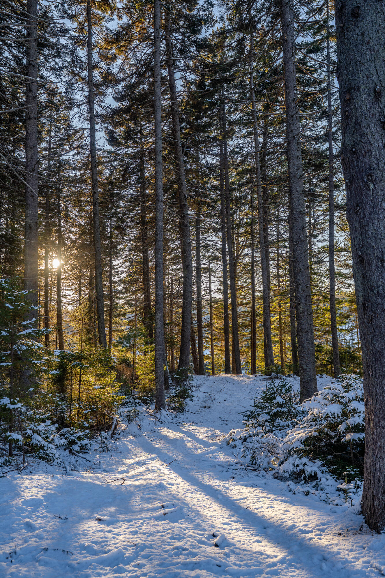 47 Snowman Lane Georgetown, ME 04548 - Photo 112 of 121 47 Snowman Lane Georgetown 183