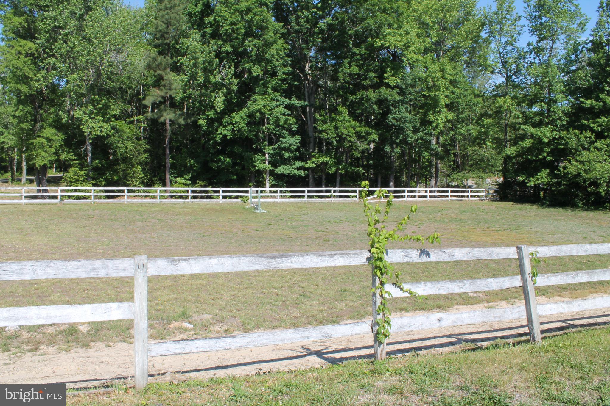 6031 Hickory Ridge Road Spotsylvania, VA 22551 - Photo 9 of 28 RIDING RING