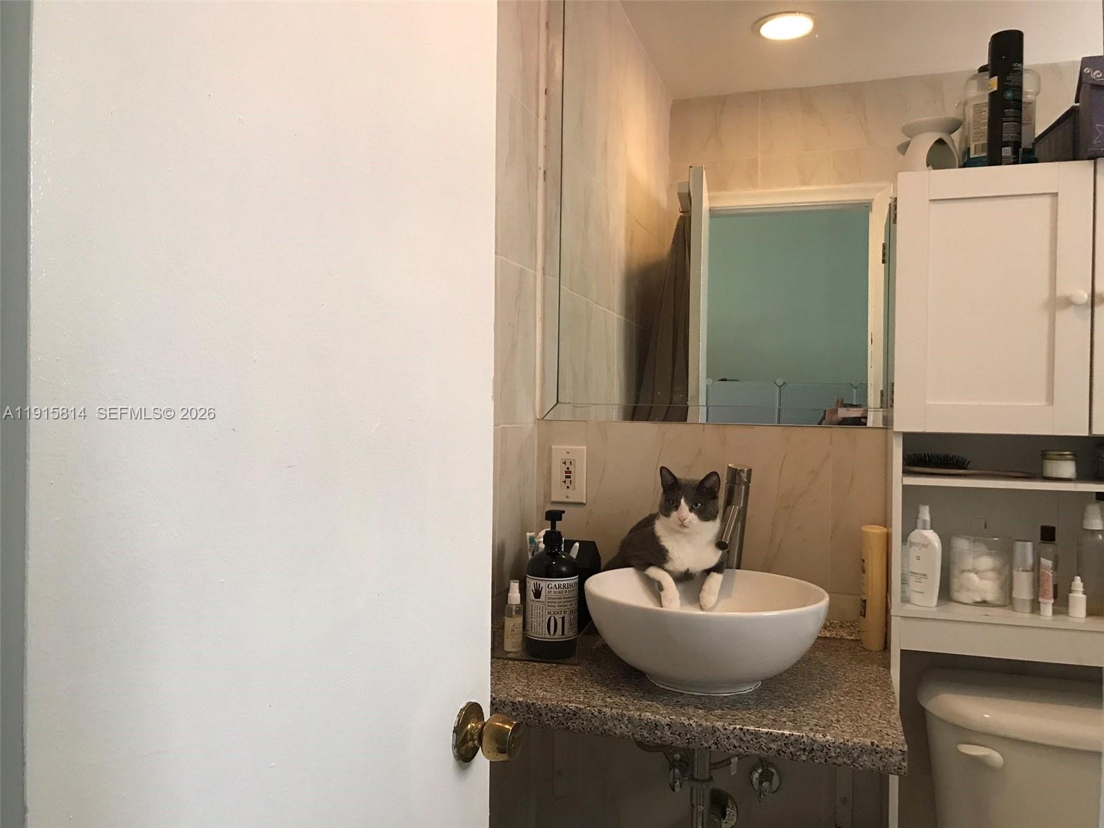 421 Northeast 68th Street, Unit 15 Miami, FL 33138 - Photo 22 of 27