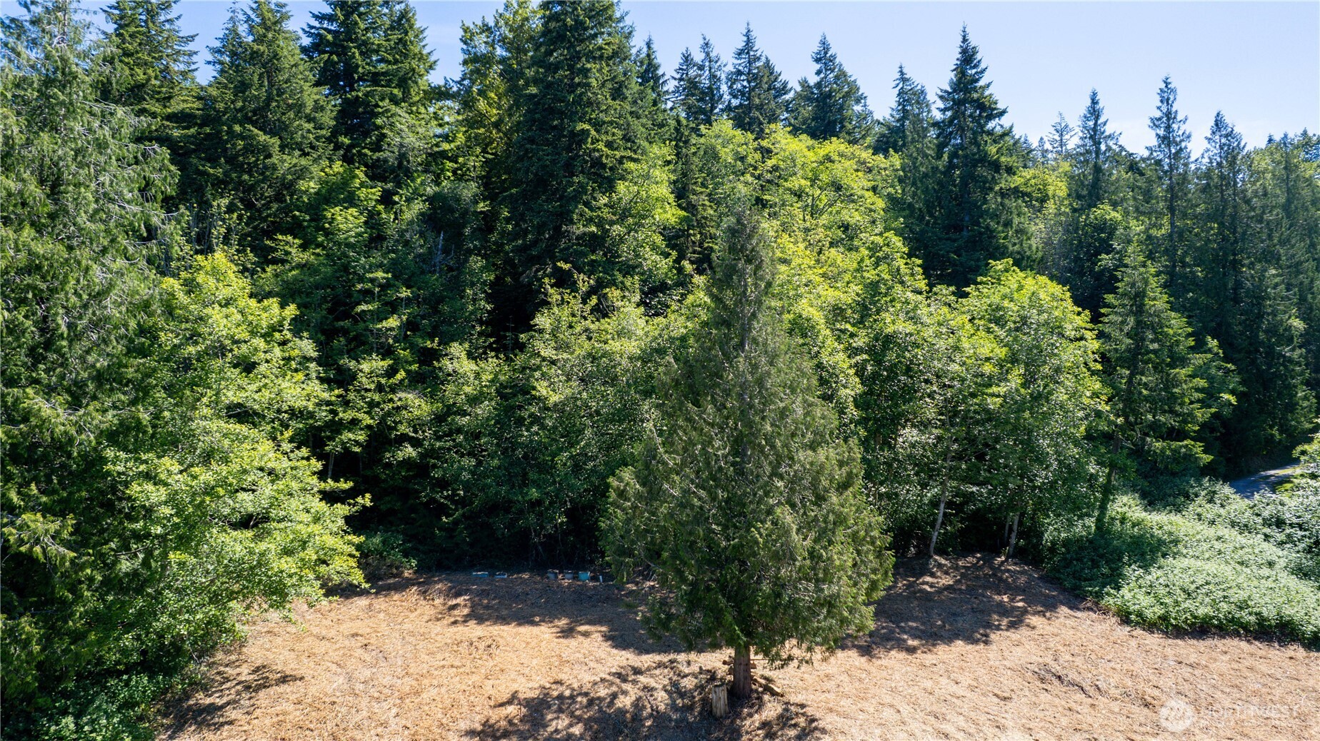 3056 Northshore Road Bellingham, WA 98226 - Photo 8 of 15