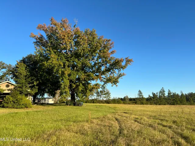 $519,000 | 2066 Highway 569, Liberty, MS 39645