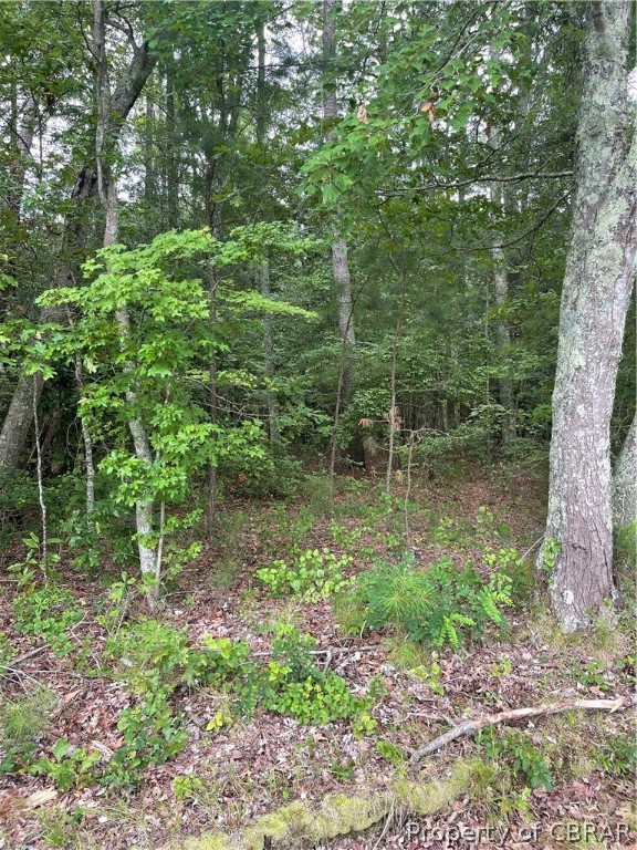 0 Line Fence Road Hayes, VA 23072 - Photo 10 of 14