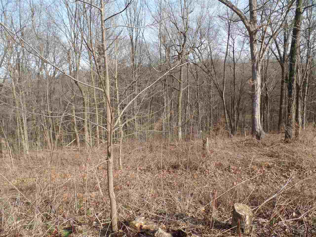 Antioch Road Bloomfield, IN 47424 - Photo 3 of 5 Gallery Image 3