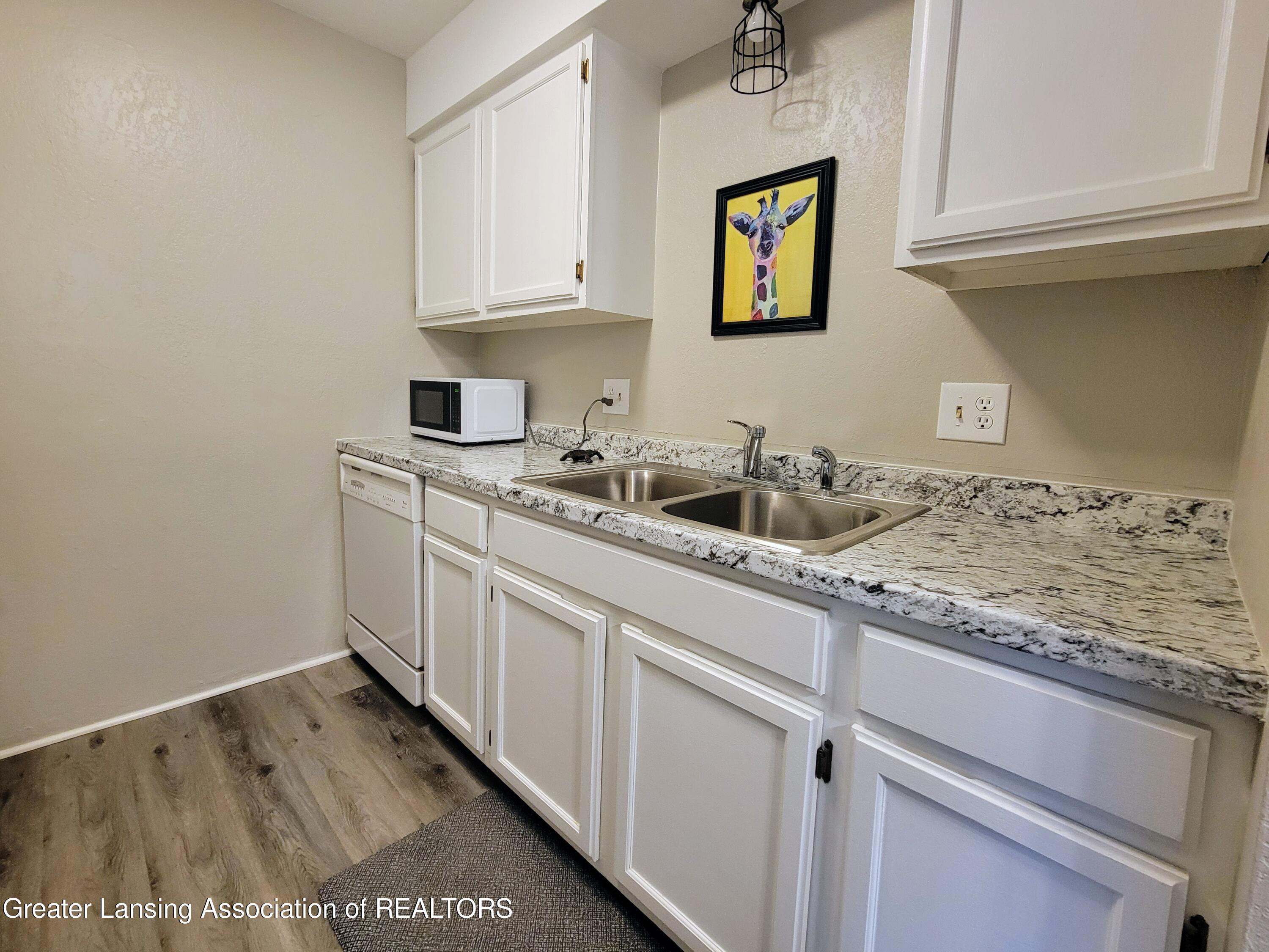 5400 Maple Ridge Road, Unit 9 Haslett, MI 48840 - Photo 4 of 11 20220518_102956