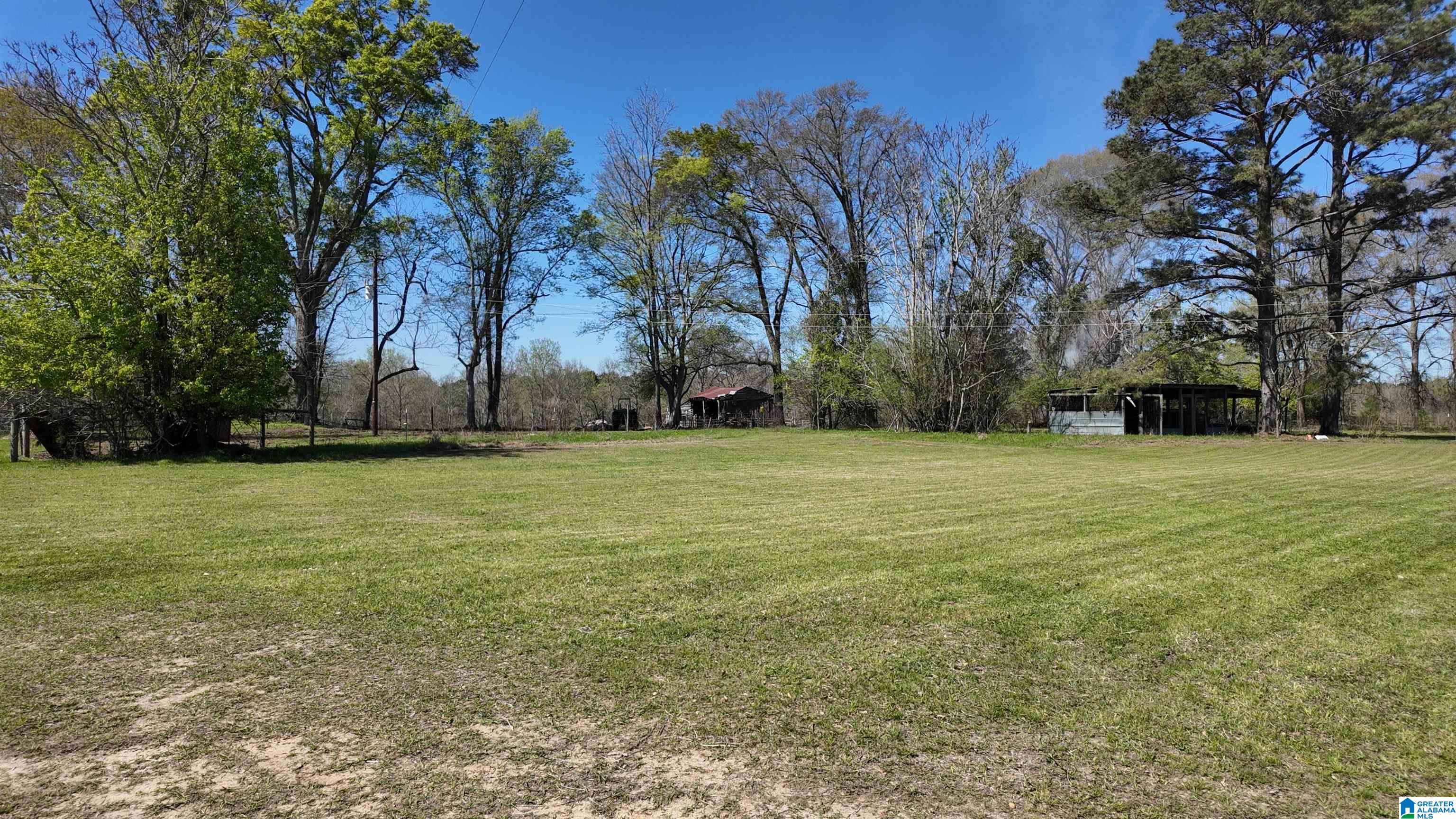 997 Percy Johnson Road Tyler, AL 36785 - Photo 6 of 12