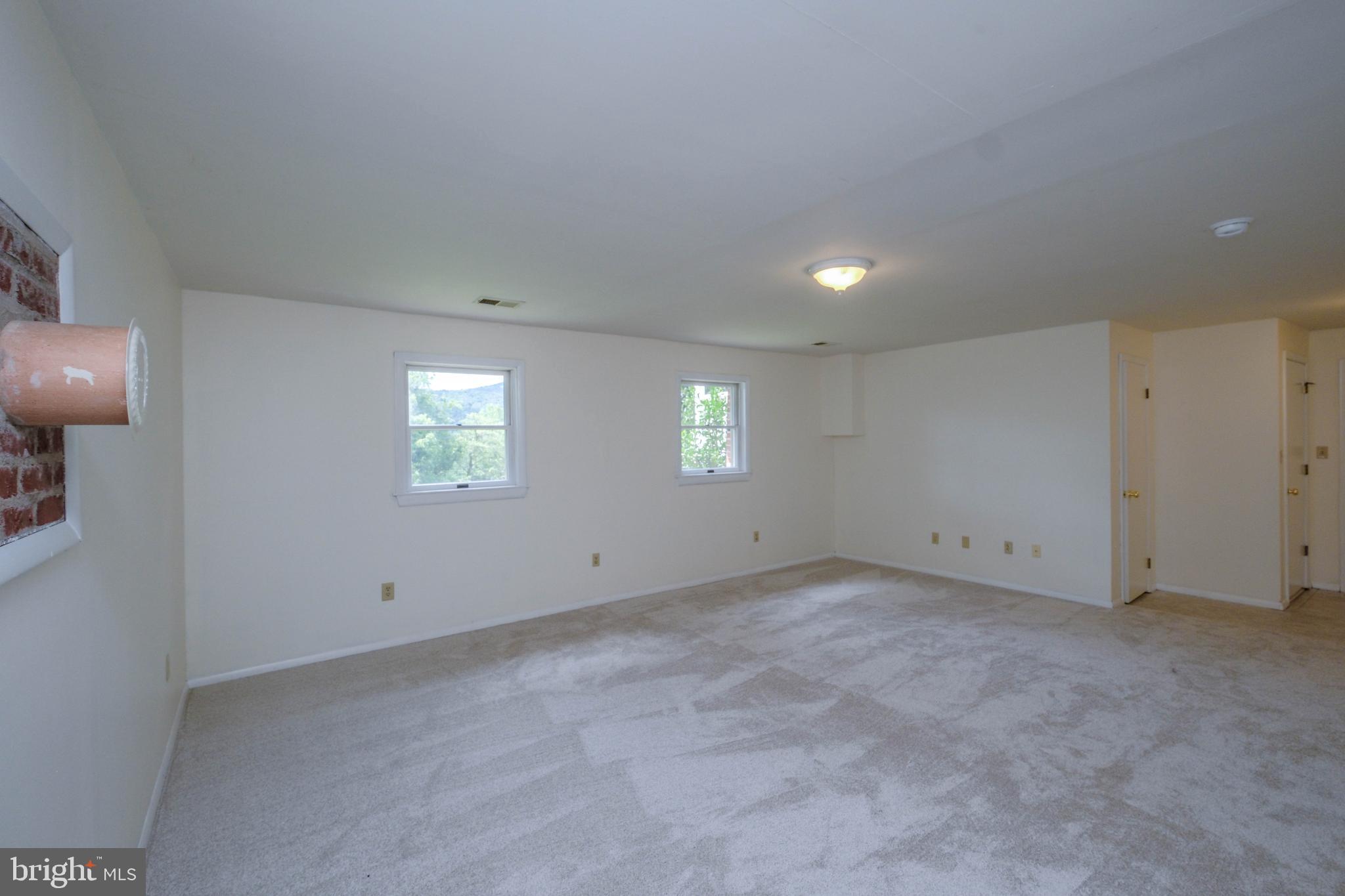 22 Wealthy Road Linden, VA 22642 - Photo 42 of 92 Lower level rec room