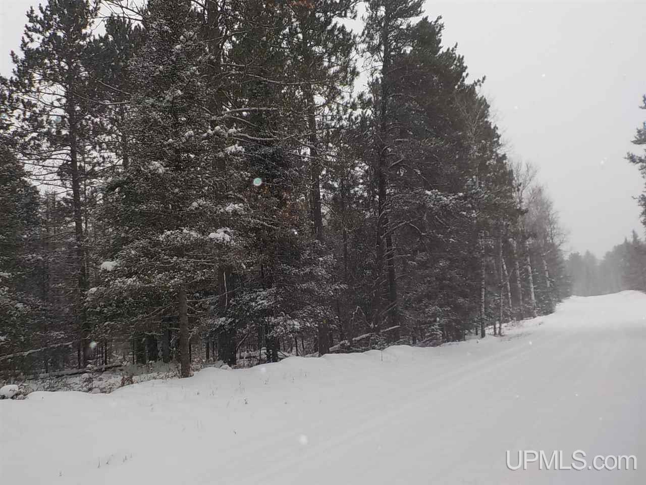 7 Ac /- Rock Crusher Road Crystal Falls, MI 49920 - Photo 3 of 10