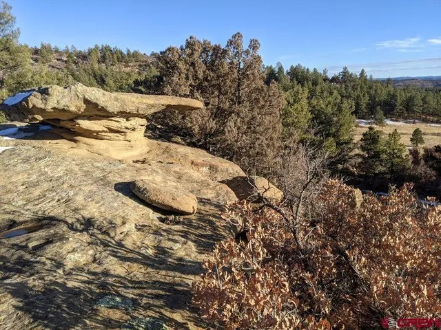 a view of a lake in between two of trees