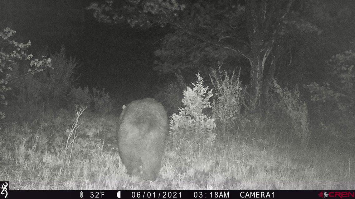 Tbd Tbd Rancho La Weston, CO 81091 - Photo 13 of 28