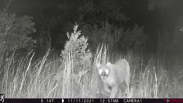 a view of a building