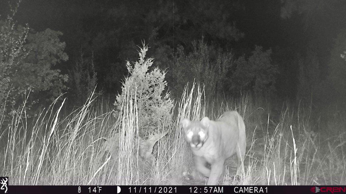 Tbd Tbd Rancho La Weston, CO 81091 - Photo 14 of 28