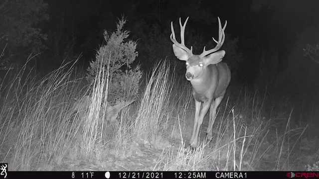 a view of a building