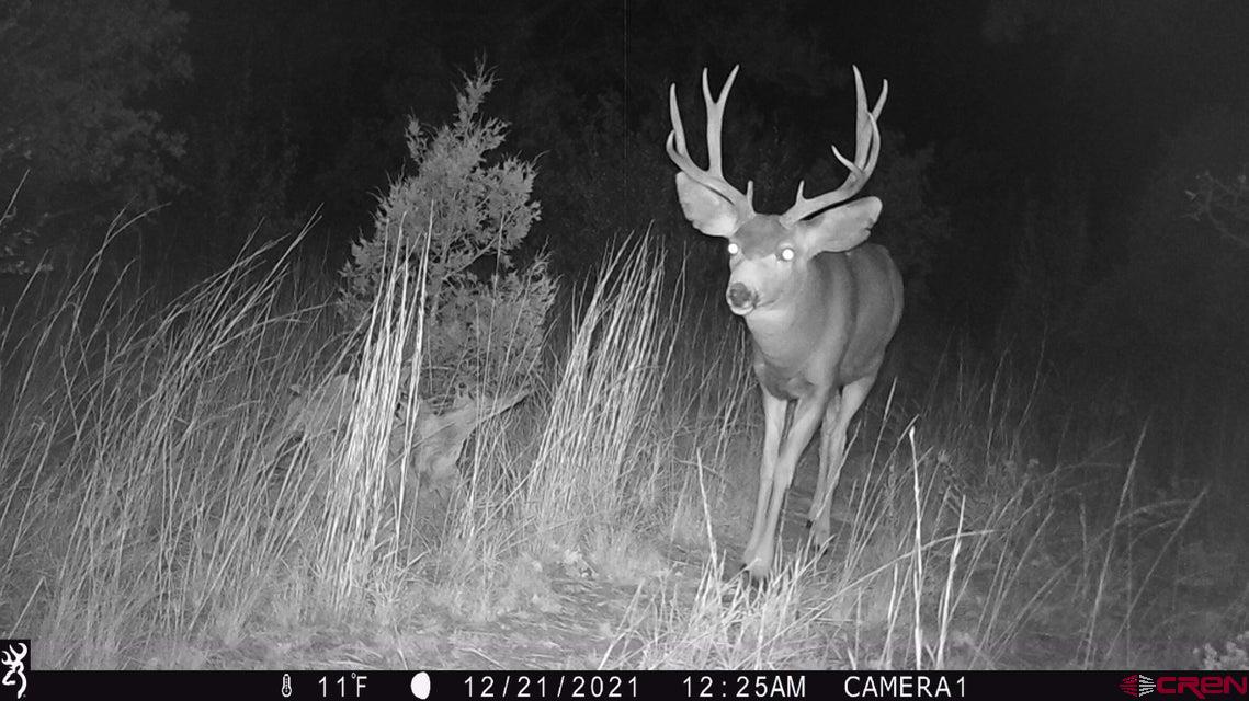 Tbd Tbd Rancho La Weston, CO 81091 - Photo 15 of 28