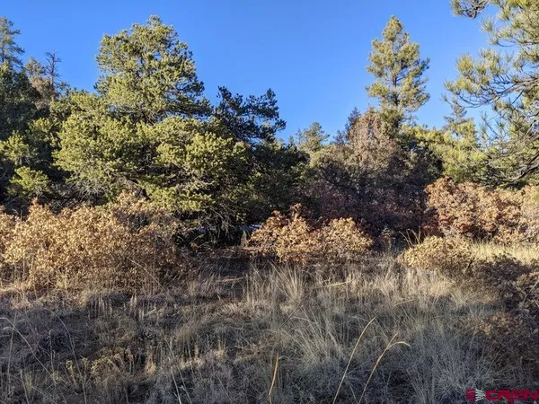 $59,900 | Tbd Tbd Rancho La, Weston, CO 81091